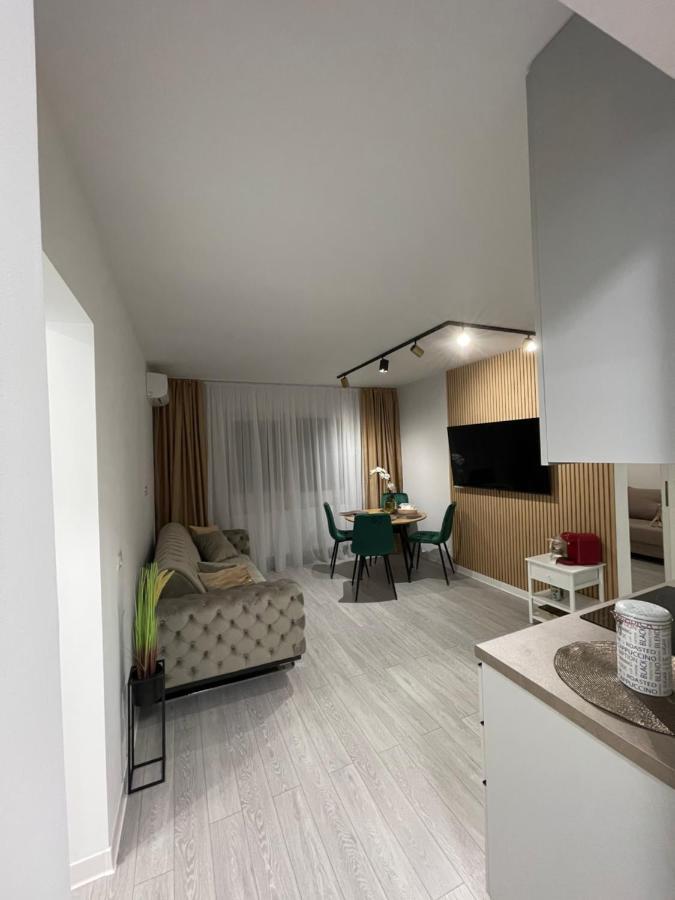 Oxana Apartments - 3 Camere - Timisoara Bagian luar foto