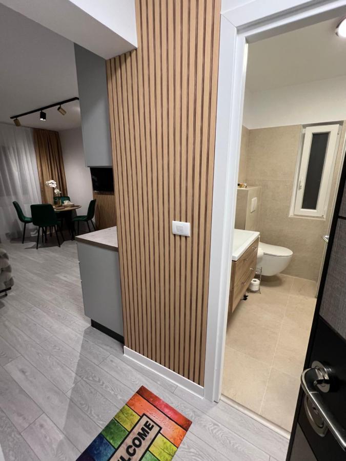 Oxana Apartments - 3 Camere - Timisoara Bagian luar foto