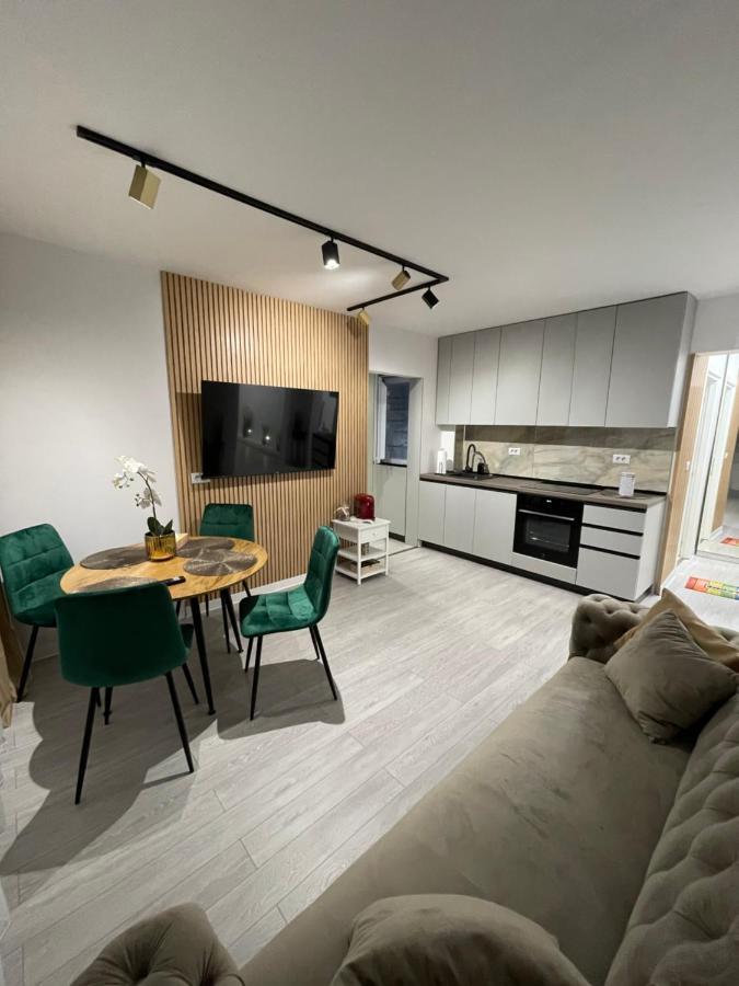Oxana Apartments - 3 Camere - Timisoara Bagian luar foto