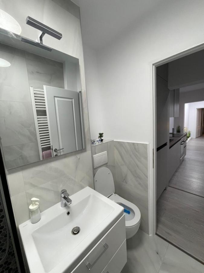 Oxana Apartments - 3 Camere - Timisoara Bagian luar foto