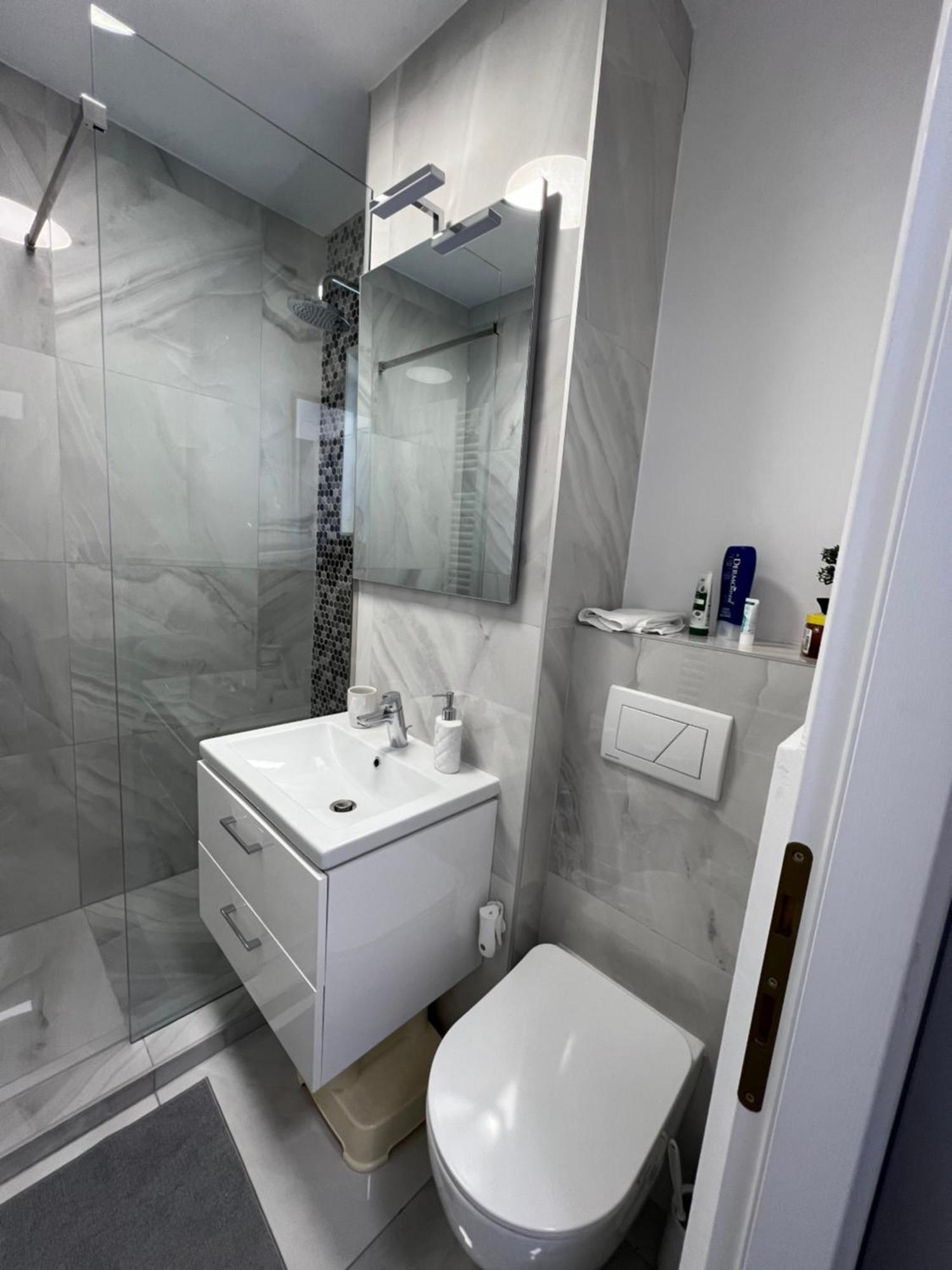 Oxana Apartments - 3 Camere - Timisoara Bagian luar foto